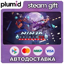 NINJA GAIDEN: Ragebound Steam Gift / Россия + МИР / АВТО