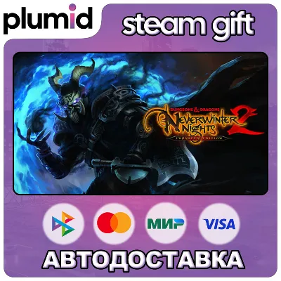 D&D Neverwinter Nights 2: Enhanced Edition Steam Gift / МИР / АВТО - irongamers.ru