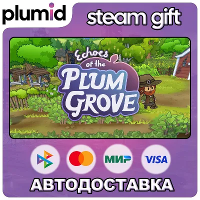 Echoes of the Plum Grove Steam Gift / Россия + МИР / АВТО - irongamers.ru