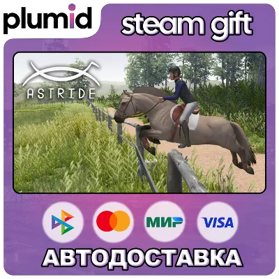 Astride Steam Gift / Россия + МИР / АВТО - irongamers.ru