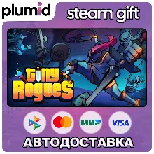 Tiny Rogues Steam Gift / Россия + МИР / АВТО