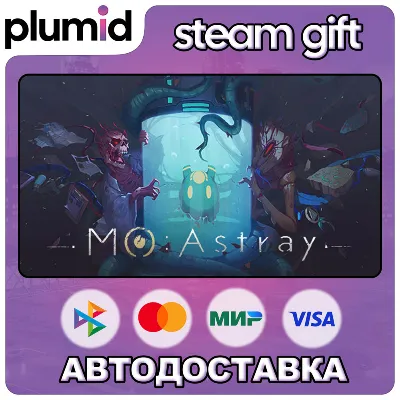 MO:Astray Steam Gift / Россия + МИР / АВТО - irongamers.ru