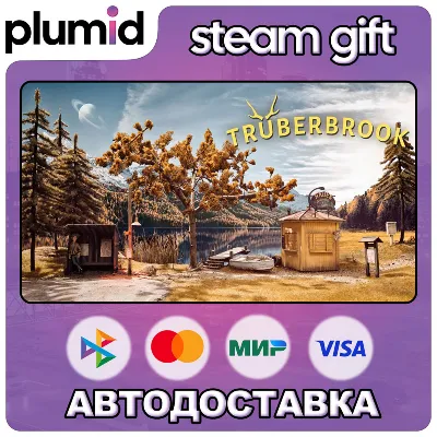 Truberbrook / Trüberbrook Steam Gift / Россия + МИР / АВТО - irongamers.ru