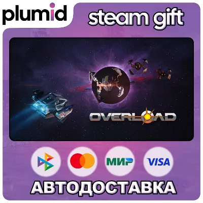 Overload Steam Gift / Россия + МИР / АВТО - irongamers.ru