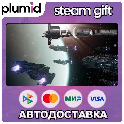 SpaceBourne Steam Gift / Россия + МИР / АВТО - irongamers.ru