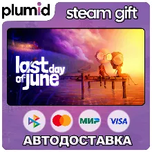 Last Day of June Steam Gift / Россия + МИР / АВТО