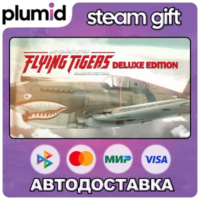 Flying Tigers: Shadows Over China / Steam АВТО / РУ + МИР - irongamers.ru