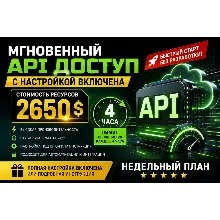 Мгновенный API доступ с настройкой включена 200,000 руб недельный план Caude