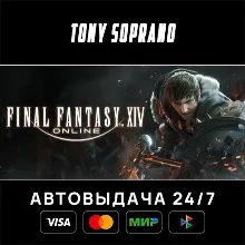 FINAL FANTASY XIV Online Starter Edition STEAM GIFT