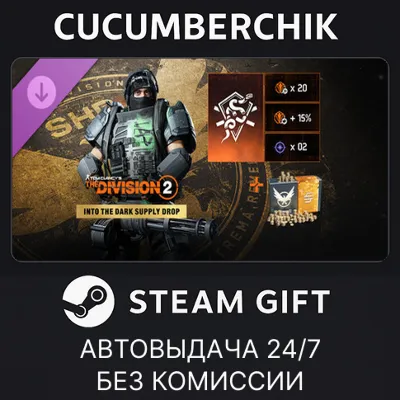 Tom Clancy’s The Division 2 – Into the Dark Supply Drop STEAM GIFT AUTO RU+МИР - irongamers.ru