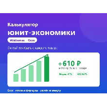 Калькулятор юнит-экономики Wildberries и Ozon (Excel): прибыль, маржа, ROI
