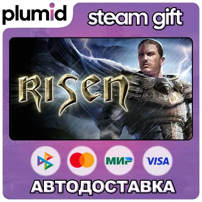 Risen Steam Gift / Россия + МИР / АВТО - irongamers.ru