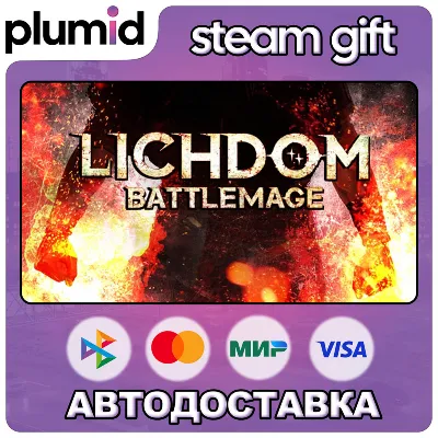 Lichdom: Battlemage Steam Gift / Россия + МИР / АВТО - irongamers.ru