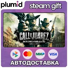 Call of Juarez: Bound in Blood Steam Gift / Россия + МИР / АВТО