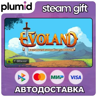 Evoland Steam Gift / Россия + МИР / АВТО - irongamers.ru