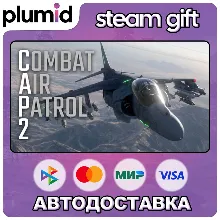 Combat Air Patrol 2: Military Flight Simulator Steam Gift / Россия + МИР / АВТО