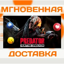 PREDATOR: HUNTING GROUNDS \ STEAM \ КЛЮЧ