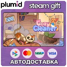 Cozy Cleaner Steam Gift / Россия + МИР / АВТО