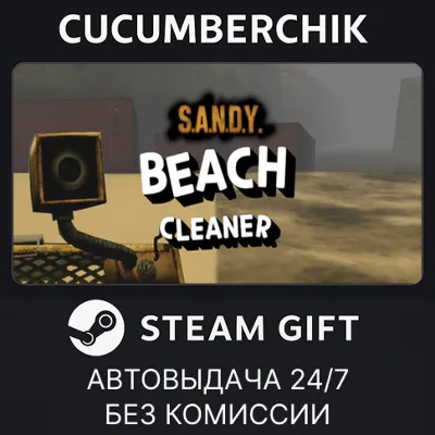 S.A.N.D.Y. - Beach Cleaner STEAM GIFT AUTO RU+МИР - irongamers.ru