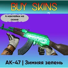AK-47 | Зимняя зелень (4 наклейки на скине)