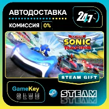 Team Sonic Racing / STEAM GIFT / Выбор стран