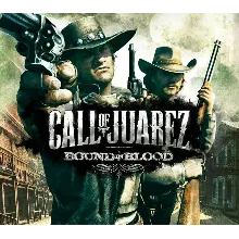 Call of Juarez: Bound in Blood PC Steam Key Region Free