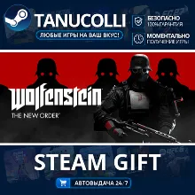 Wolfenstein: The New Order Авто МИР + 33 региона GIFT Россия