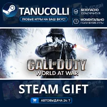 Call of Duty: World at War Авто МИР + 33 региона GIFT Россия