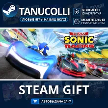 Team Sonic Racing™ Авто МИР + 33 региона GIFT Россия