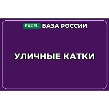 База компаний по теме Уличные катки в России