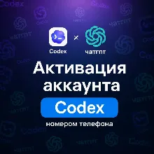 SMS CONFIRMATION | CODEX | CHATGPT