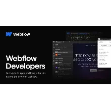 Launch Pro Websites with Webflow – Now at Special Prices!* $60