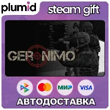 GERONIMO Steam Gift / Россия + МИР / АВТО