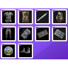 Gray Zone Warfare Twitch bundle — Vintage Blouse (Olive), Combat Ration Pack +8 more 