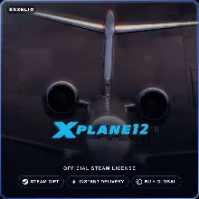 X-Plane 12 (Steam Gift) · РФ и весь мир · Автодоставка 24/7