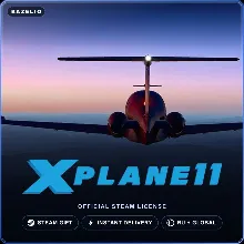 X-Plane 11 (Steam Gift) · РФ и весь мир · Автодоставка 24/7