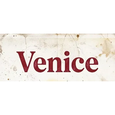 Перезарядка для профессионального члена venice ai Pro/безопасно и надежно - irongamers.ru