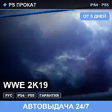 🟣 WWE 2K19 (PS4/PS5/RU) Аренда от 5 дней