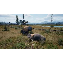 DLC | Railroads Online - Explorer DLC| STEAM КЛЮЧ СНГ