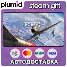 Korea. IL-2 Series . Deluxe Edition (Including Future Expansion) Steam Gift / Россия