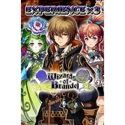 Experience x3 - Wizards of Brandel — покупка на аккаунт | XBAY