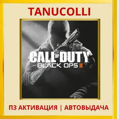 Call of Duty: Black Ops 2 (PS4/RU) П3 - Активация - irongamers.ru
