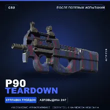 P90 | Teardown | После полевых испытаний · Скин Counter-Strike 2