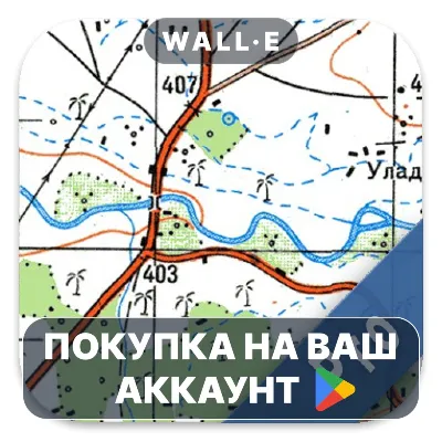 Russian Topo Maps Pro | Google Play ПОКУПКА НА ВАШ АККАУНТ | Android