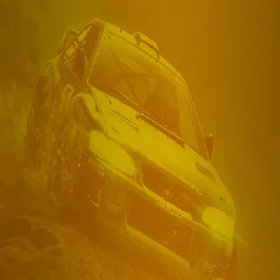 (XBOX Series X/S, ONE) DiRT Rally 2.0 - Game of the Year Edition