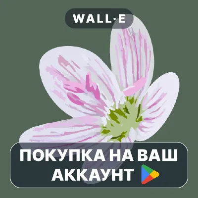 Flora of Virginia | Google Play ПОКУПКА НА ВАШ АККАУНТ | Android - irongamers.ru