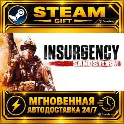 Insurgency: Sandstorm 4-Year Anniversary Edition · STEAM GIFT · AUTO-DELIVERY
