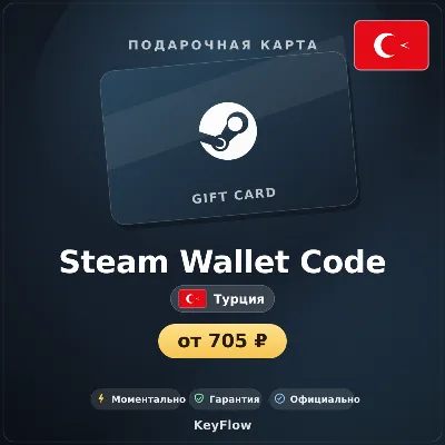 Steam Wallet Code (Турция, TRY) · 5–200 - irongamers.ru