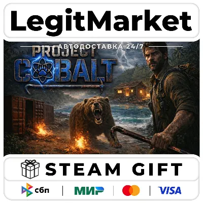 Project Cobalt / Steam АВТО / РУ + МИР - irongamers.ru