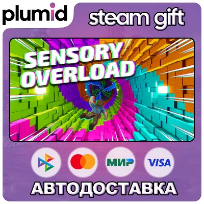Sensory Overload Steam Gift / Россия + МИР / АВТО - irongamers.ru